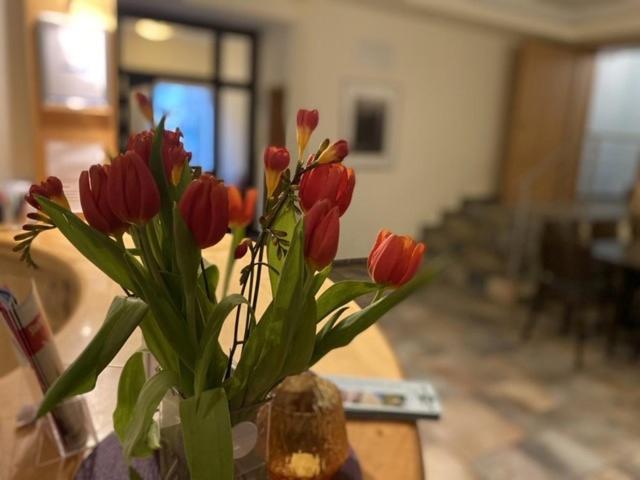 Hotel Bornholmer Hof Im Prenzlauer Berg Berlino